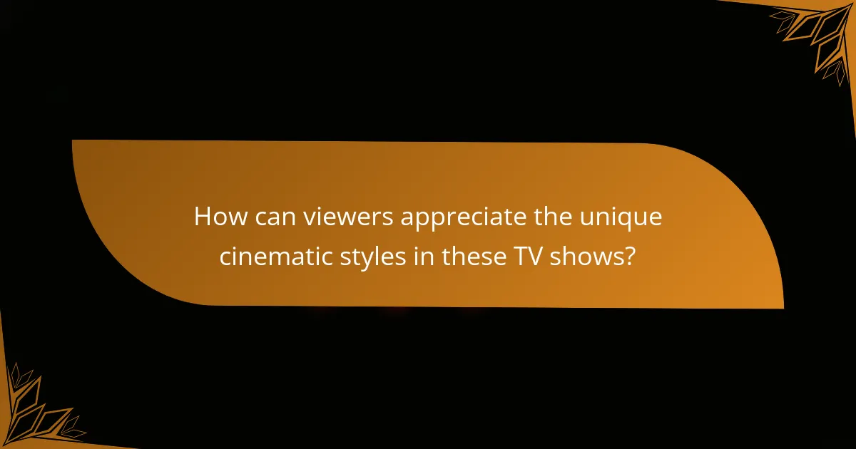 How can viewers appreciate the unique cinematic styles in these TV shows?