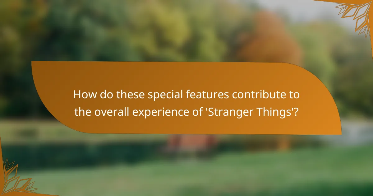 How do these special features contribute to the overall experience of 'Stranger Things'?