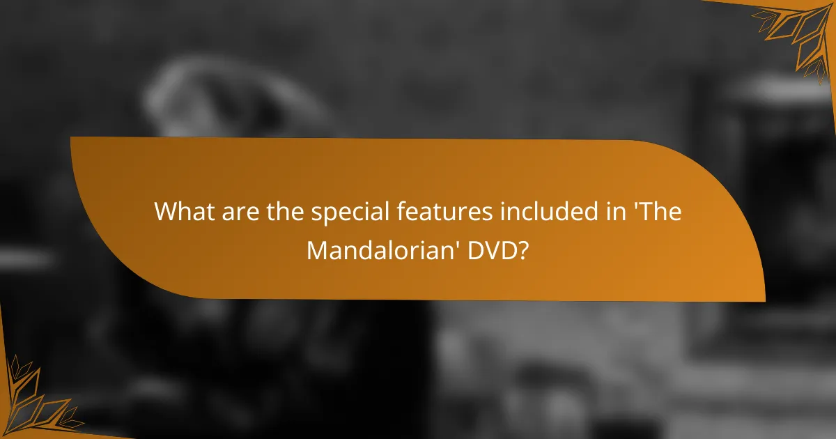What are the special features included in 'The Mandalorian' DVD?
