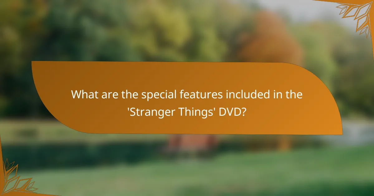 What are the special features included in the 'Stranger Things' DVD?
